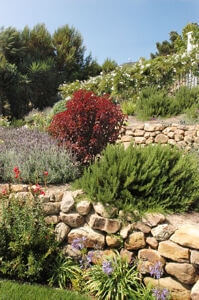 Cliffside Malibu Drug Rehab Facility