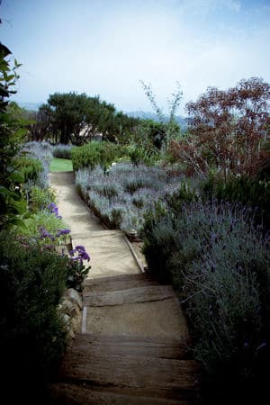 Cliffside Malibu Drug Abuse Treatment Center