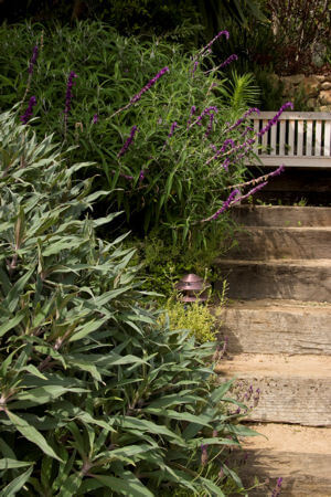 Drug Detox Facility In Sidney