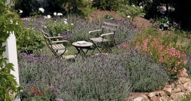 Cliffside Malibu Treatment Program