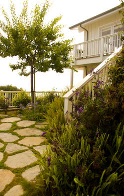 Substance Abuse Treatment & Rehab at Cliffside Malibu