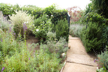 Addiction Treatment done in a serene and beautiful surrounding
