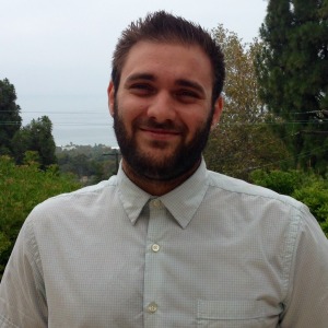 DAVID VAKNIN