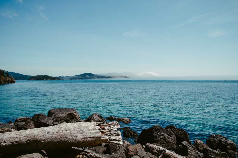 A Safe, Medically-supervised Detox