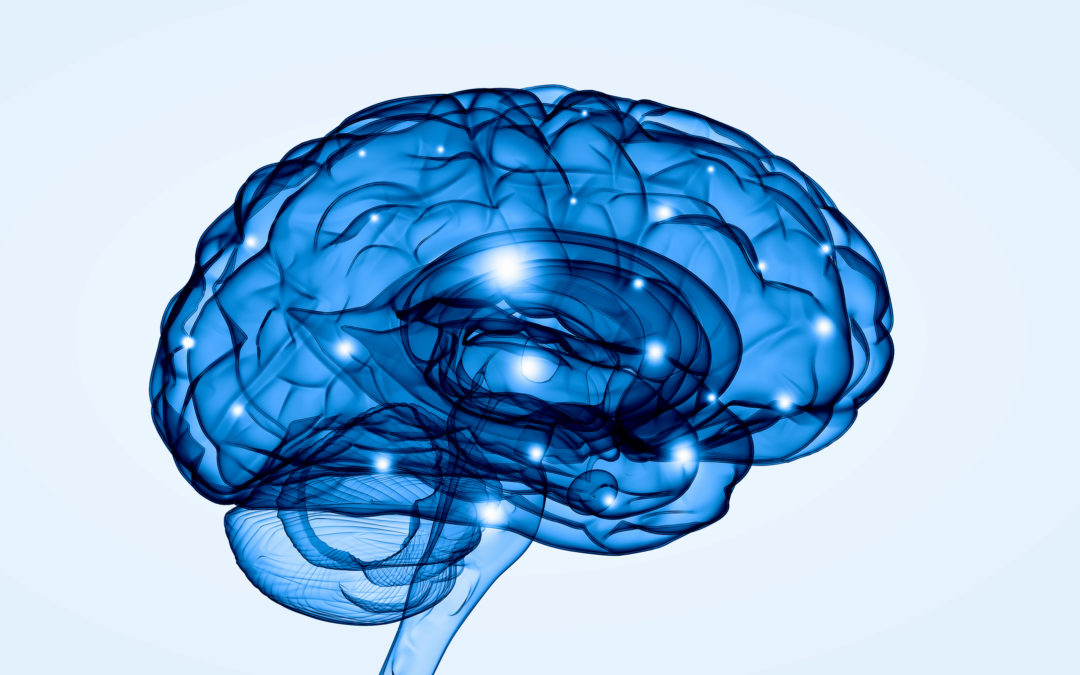 Neuroscience Made Easy: Here’s Why Your Brain Makes Quitting Drugs/Alcohol So Hard