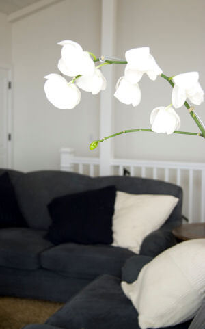 Cliffside Malibu Alcohol and Drug Addiction Rehabilitation Cliffside Malibu Alcohol and Drug Addiction Rehabilitation