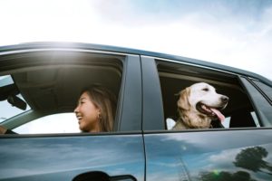 Woman driving with happy dog in car, sober in California.