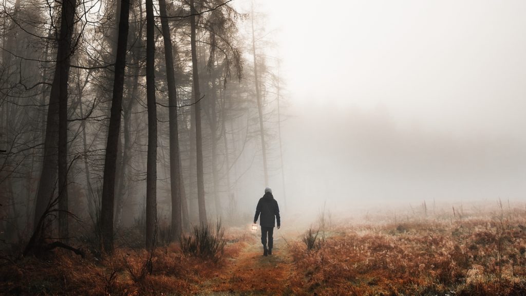 Person walking through the woods, thinking about how to cope with relapse dreams.
