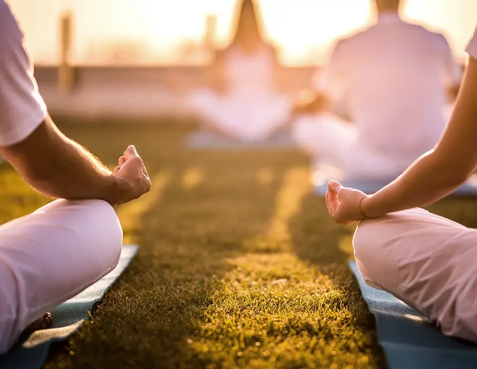 Holiday Season Recovery